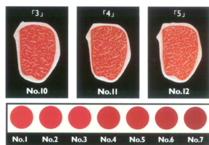 Steak Colour Chart