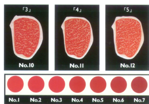 Japanese Beef Grading Chart